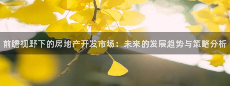 和记app官网登录：前瞻视野下的房地产开发市场：未来的发展趋