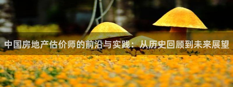 香港和记官网：中国房地产估价师的前沿与实践：从历史回顾到未来