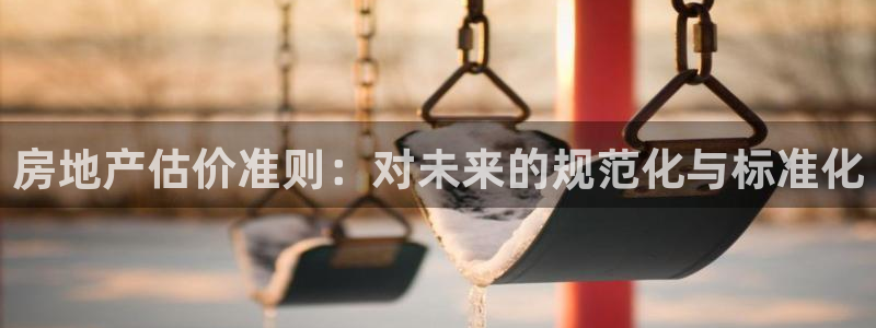 和记娱官网h88285怡情：房地产估价准则：对未来的规范化与
