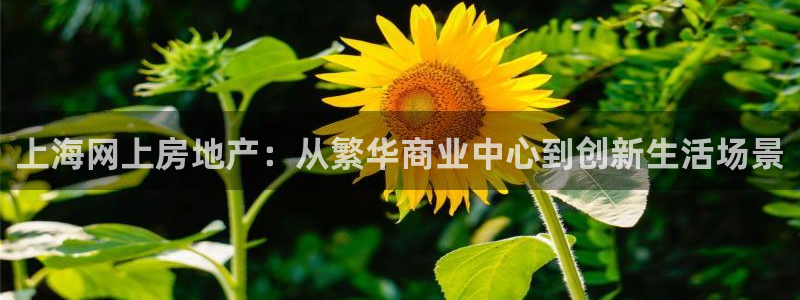 小金库钱包app下载官网和记：上海网上房地产：从繁华商业中心