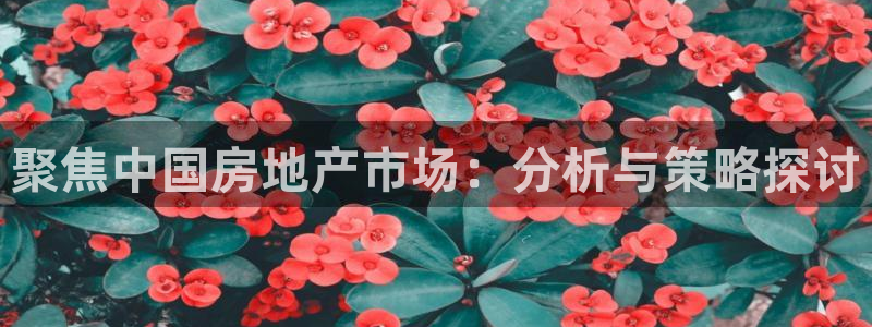 和帆记加盟官网：聚焦中国房地产市场：分析与策略探讨