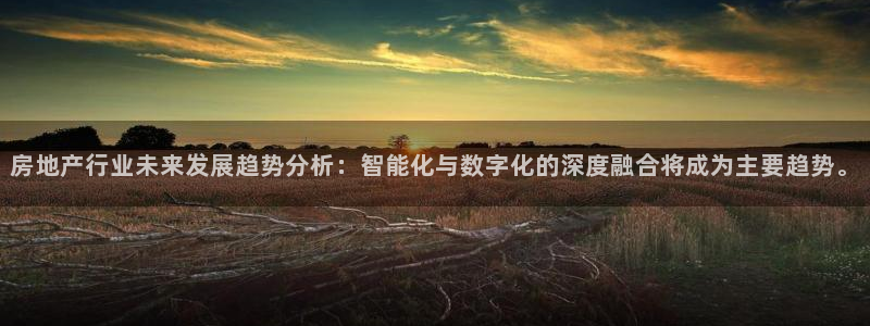 和记电讯官网0机构：房地产行业未来发展趋势分析：智能化与数字