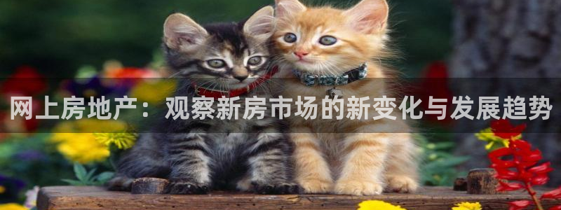 和记3电讯官网：网上房地产：观察新房市场的新变化与发展趋势