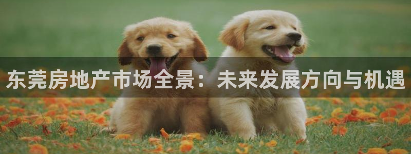 和力记易官网