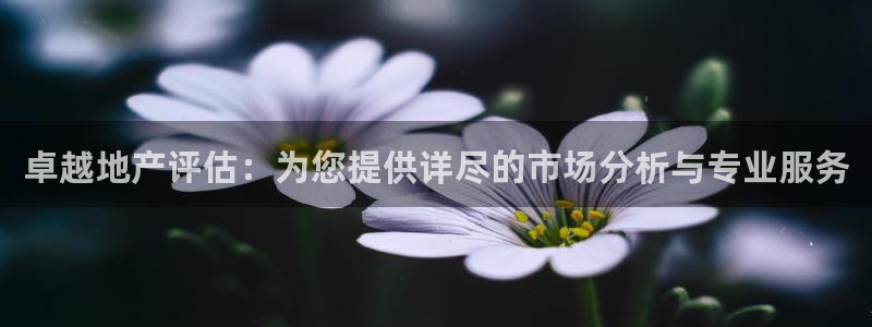 和记官网和记：卓越地产评估：为您提供详尽的市场分析与专业服务