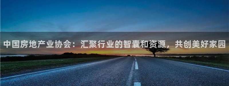 和记娱等级h88285官网：中国房地产业协会：汇聚行业的智囊