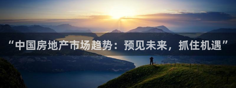 元和记官网：“中国房地产市场趋势：预见未来，抓住机遇”