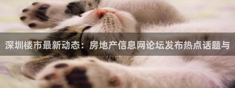和记门店官网：深圳楼市最新动态：房地产信息网论坛发布热点话题