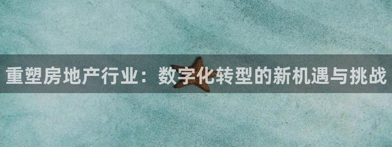 和记官网 公司：重塑房地产行业：数字化转型的新机遇与挑战