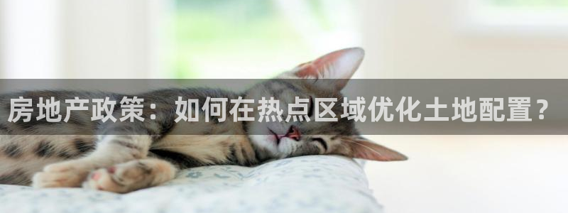 和记黄埔集团官网：房地产政策：如何在热点区域优化土地配置？
