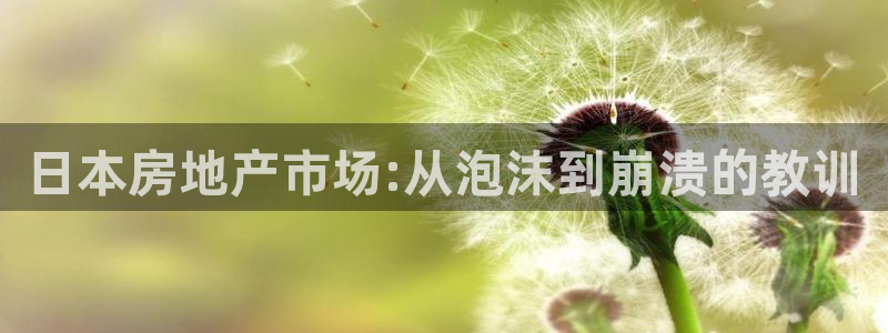 元和记官网：日本房地产市场:从泡沫到崩溃的教训