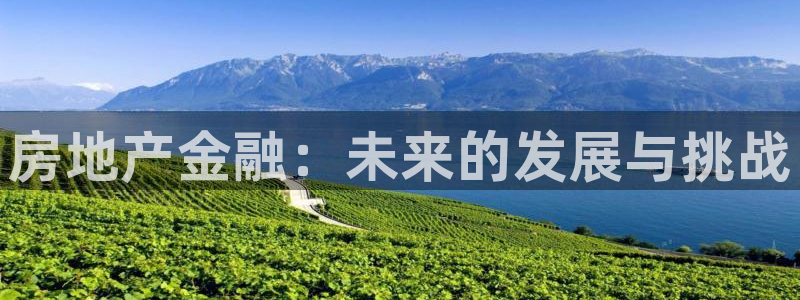 香港和记电讯公司官网：房地产金融：未来的发展与挑战