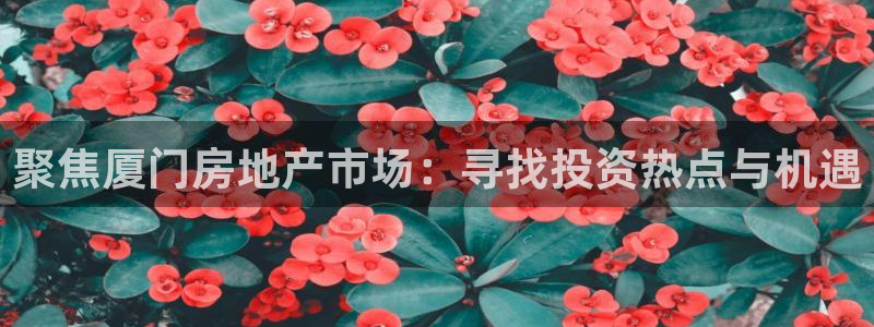 和记官网h88：聚焦厦门房地产市场：寻找投资热点与机遇