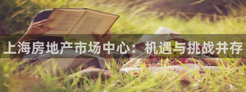 和记官网客服app：上海房地产市场中心：机遇与挑战并存