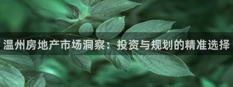 和记娱等级h88285官网：温州房地产市场洞察：投资与规划的
