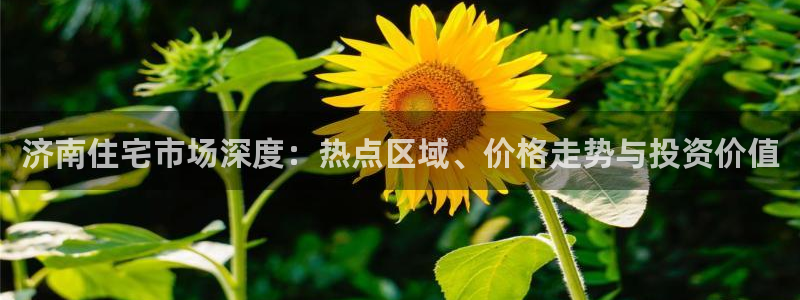 胡和记官网