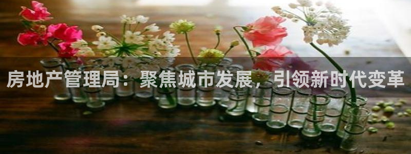 和记3电讯官网：房地产管理局：聚焦城市发展，引领新时代变革