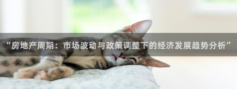 和记黄埔上海官网：“房地产周期：市场波动与政策调整下的经济发