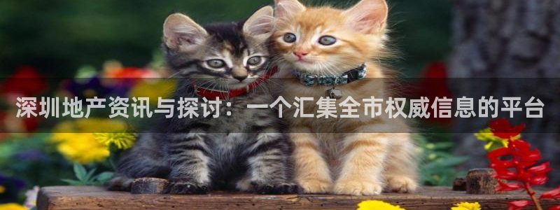 和记安徽快3官网开户：深圳地产资讯与探讨：一个汇集全市权威信