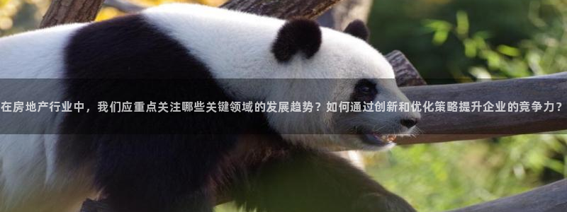 和记租车官网：在房地产行业中，我们应重点关注哪些关键领域的发