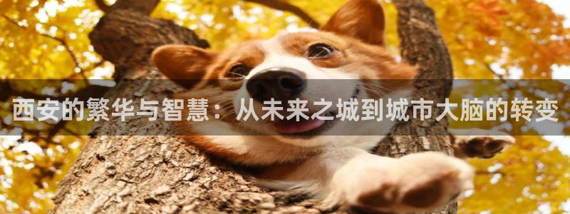 和记环球电讯官网：西安的繁华与智慧：从未来之城到城市大脑的转