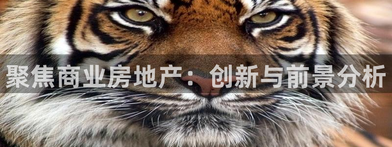 和记环球电讯官网：聚焦商业房地产：创新与前景分析