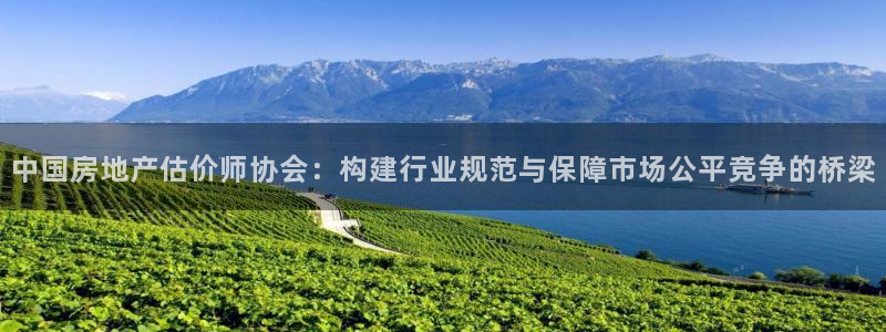 和记官网进入：中国房地产估价师协会：构建行业规范与保障市场公