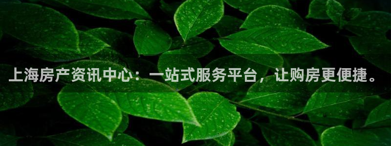 和记平台官网：上海房产资讯中心：一站式服务平台，让购房更便捷