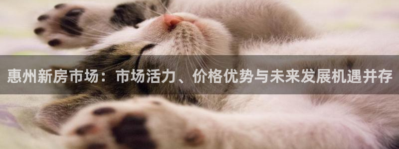 澳门和记电讯官网：惠州新房市场：市场活力、价格优势与未来发展
