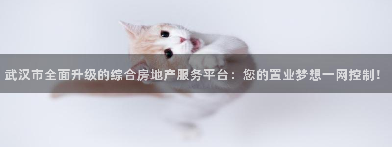 上海和记官网