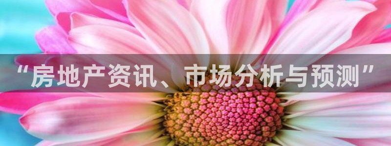和记h188官网：“房地产资讯、市场分析与预测”