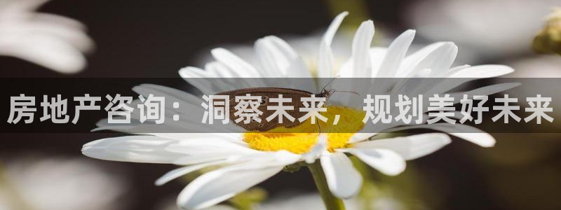 和记官网加盟：房地产咨询：洞察未来，规划美好未来