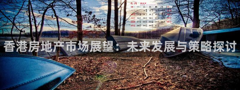 和记怡情官网电话：香港房地产市场展望：未来发展与策略探讨