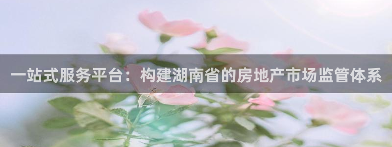 和记3hk官网