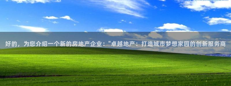 和记怡情官网入口：好的，为您介绍一个新的房地产企业：\