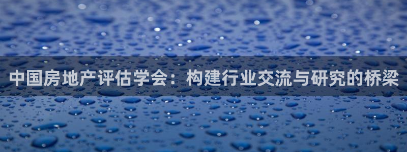 澳门3和记官网：中国房地产评估学会：构建行业交流与研究的桥梁