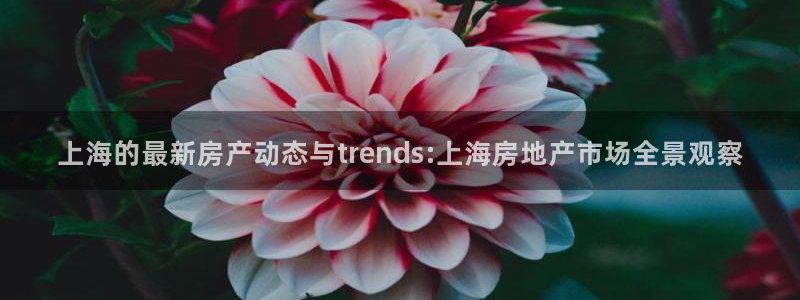 和记娱乐场所官网：上海的最新房产动态与trends:上海房地