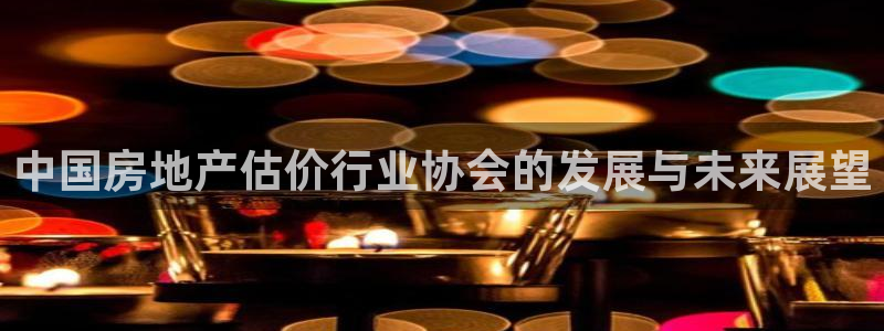 和记3国际万能卡官网：中国房地产估价行业协会的发展与未来展望