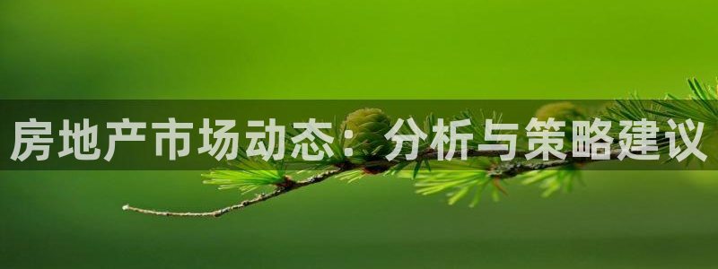 和记娱解答h88285官网：房地产市场动态：分析与策略建议