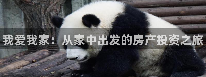 和记电官网：我爱我家：从家中出发的房产投资之旅