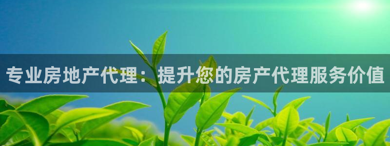 和记官网平台：专业房地产代理：提升您的房产代理服务价值