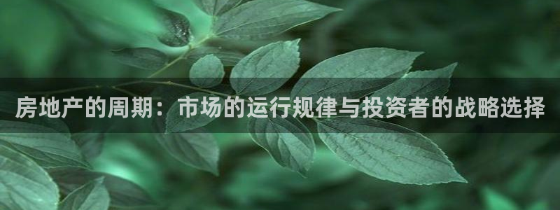 和记娱哪个位置h88285官网：房地产的周期：市场的运行规律