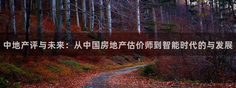 和记手机官网：中地产评与未来：从中国房地产估价师到智能时代的