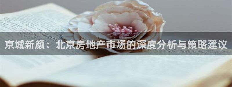 和记茶餐厅官网：京城新颜：北京房地产市场的深度分析与策略建议