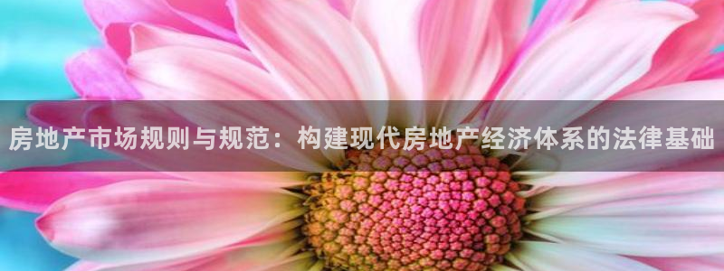 和记娱乐首页官网：房地产市场规则与规范：构建现代房地产经济体