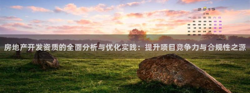 和记官网充值：房地产开发资质的全面分析与优化实践：提升项目竞