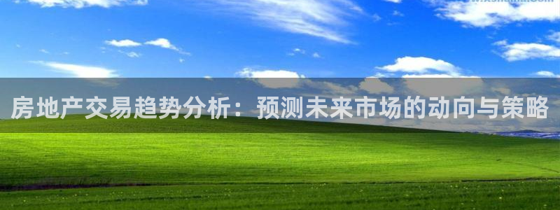 和元李记官网：房地产交易趋势分析：预测未来市场的动向与策略