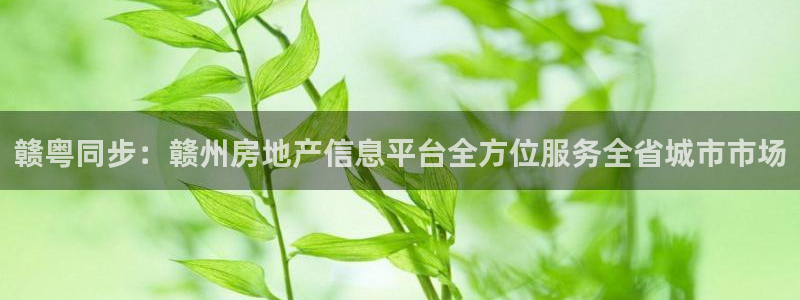 澳门和记官网：赣粤同步：赣州房地产信息平台全方位服务全省城市