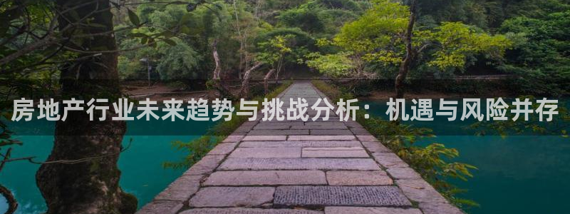 和记手机客户端官网：房地产行业未来趋势与挑战分析：机遇与风险