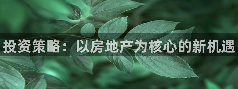 和记h188官网：投资策略：以房地产为核心的新机遇